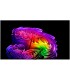تلویزیون ال جی 83G6 2026