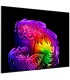 تلویزیون ال جی 83G6 2026