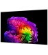 تلویزیون ال جی 83G6 2026