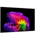 تلویزیون ال جی 83G6 2026