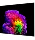 تلویزیون ال جی 65G6