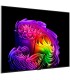 تلویزیون ال جی 65G6