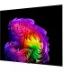 تلویزیون ال جی 77G6