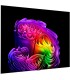 تلویزیون ال جی 77G6