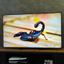 نمای کلی تلویزیون سونی BRAVIA 5 (XR50) با طراحی One Slate